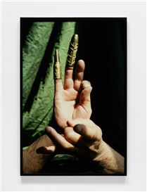 Steven Beckly at Daniel Faria Gallery, Toronto