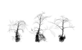 Photography Educator: Dornith Doherty