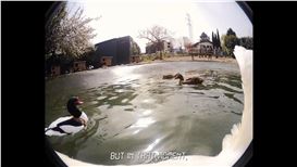 Influential Berlin Gallery Peres Projects Placed Under Insolvency