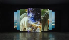 Amie Siegel: Quicksand