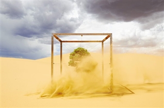 10 Exhibitions Opening This Week