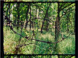 Through the Prism of Borders—Episode 2: Artistic Journeys In-Between Bulgaria, Greece and Turkey