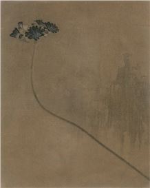 Photo Basel June 17–22, 2025