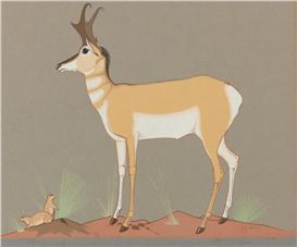 What to See in Upstate New York This May