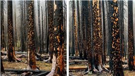 Practicing What They Teach: Faculty Work on Display at the Photographic Resource Center