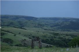 Freedom of Movement: Navigating Language and Landscape