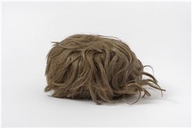 Seeking Head of Collection