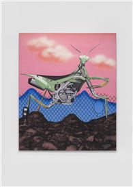 Botond Keresztesi at X Museum, Beijing