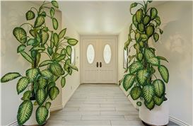 Photography in the Time of COVID