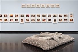 The Queer Urgency of ‘A Field of Bloom and Hum’