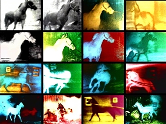 10 Exhibitions Opening This Week