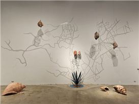 Shells, Shifts, and Searching: Mariana Ruvalcaba Cruz’s “Entre Búsquedas y Encuentros”
