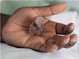 Donald Rodney’s “Visceral Canker”