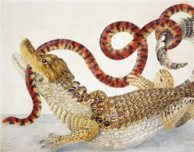 The Intersection of Art and Biology as Seen Through the Legacy of Maria Sibylla Merian
