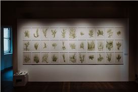 Of Herbs and Flowers