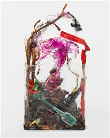 The Unexpected Beauty of Detritus