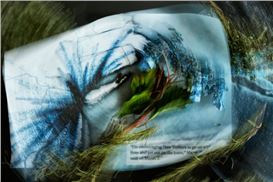 Beth Galton: Covid Diary