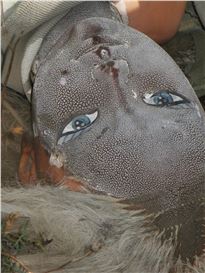 London Gallery Weekend 2025: The Best Shows for Photography Lovers