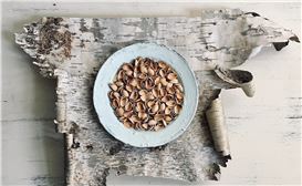 Anne-Marie Giroux: Where Movement Lingers in Stillness