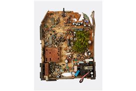 Metamorfoza Showcases Polish Artists at Belfast Photo Festival 2025