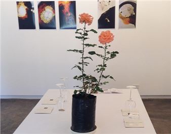 Nature is Interpretable: the Art of Alexandra Kuhn