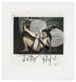 Apocalyptic Butterfly