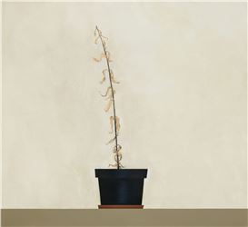 Tomasz Kręcicki at Stereo, Warsaw