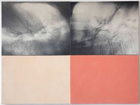 Kunié Sugiura's Decades-Long Career Explored in Dual-Venue Exhibition