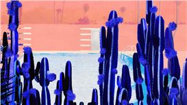 Creative Discoveries