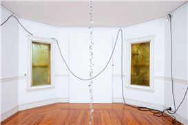 At This Dining-Room-Turned-Gallery in Arlington, “Hope of Suggestion” Captures Fleeting Florals