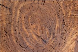 Top Five: April 24, 2025