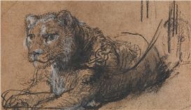 Thomas Kaplan Sells a Rembrandt to Save Wild Cats