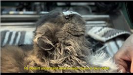 Condensed Word, Displaced Flesh, a Newly Commissioned Body of Work by Iranian-Canadian Artist Duo Freudian Typo