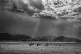 Cowboys: Spirit of the West by Anouk Masson Krantz