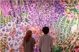 The Design Museum Launches First Major Museum Exhibition on more-than-human Design