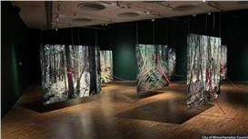 New Exhibition Delves into 'Pain of Conflict'