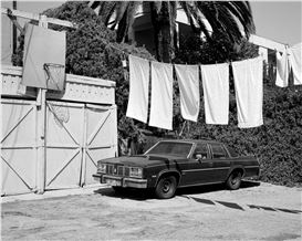 Who Needs a Car? Los Angeles by Foot – in Pictures