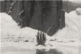 max goelitz to open new 2,100 sqft art space in Munich.