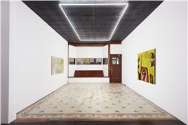 Vincent Larouche “Cold Room” at M. Le Blanc, Chicago