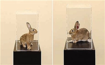 Taryn Simon, "A Living Man Declared Dead and Other Chapters"