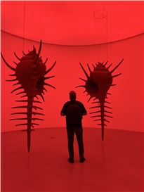 ‘To Carry’, Sharjah Biennial 16, Explores Movement, Memory, and Collective Futures