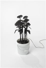 Unfolding into the World: A Conversation with Tory Fair