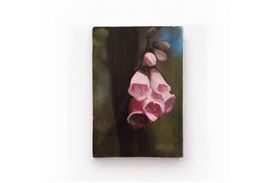 Joseph Jones's "Natural Language" Explores Cats, Flowers, and the Nature of Images at Ehrlich Steinberg