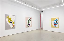 Review: Ian Pedigo at Klaus von Nichtssagend, New York City