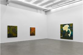 Randy Wray: Fossils to Flowers