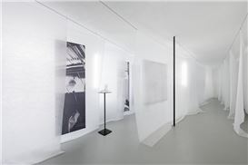 TAELON7: Let It Become What It Needs to Be