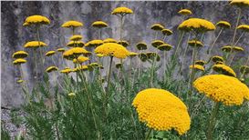 Time for Women! Empowering Visions in 20 Years of the Max Mara Art Prize for Women.