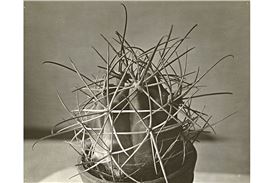 New Exhibition Bauhaus Ecologies Opens at the Bauhaus Museum Dessau