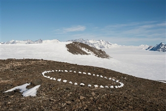 10 Exhibitions Opening This Week