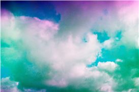 Todd R. Forsgren: Photography, Ecology, and the Act of Seeing